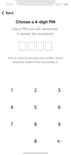 Choosing a pin screen